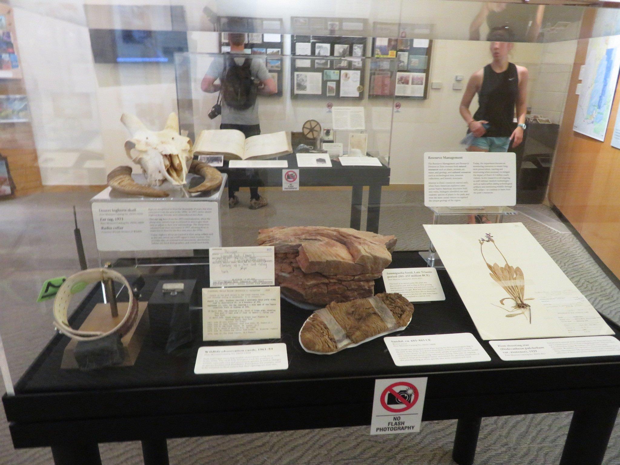 Zion Human History Museum