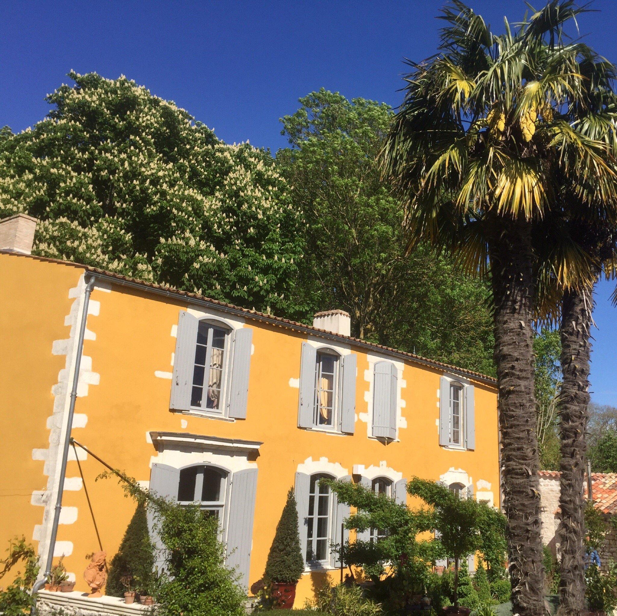 Photo by Borderiedugo