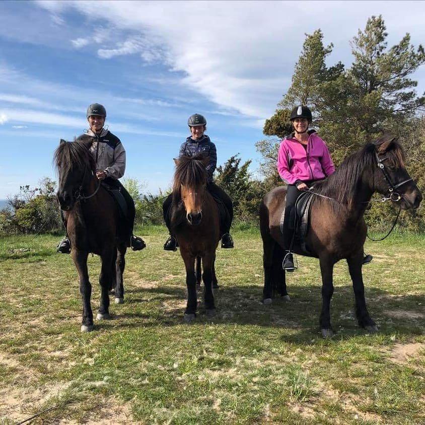 Kollberggarden Kursgard - Olands YogaStudio & Islandshastar