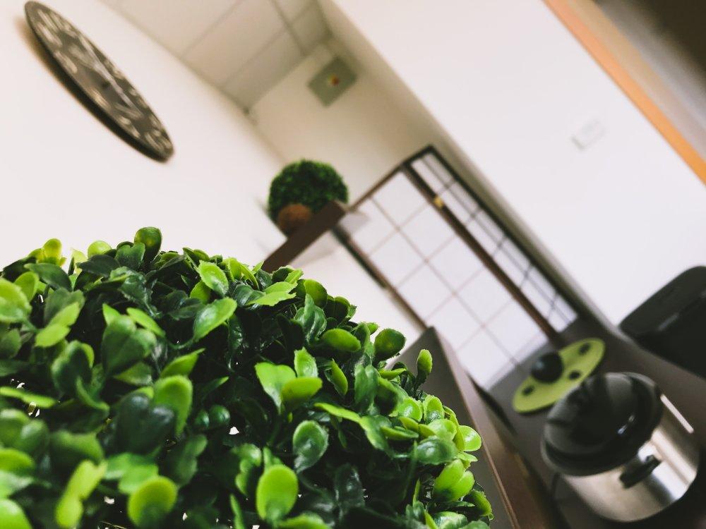 Masaze Adelaid - Belsky Les