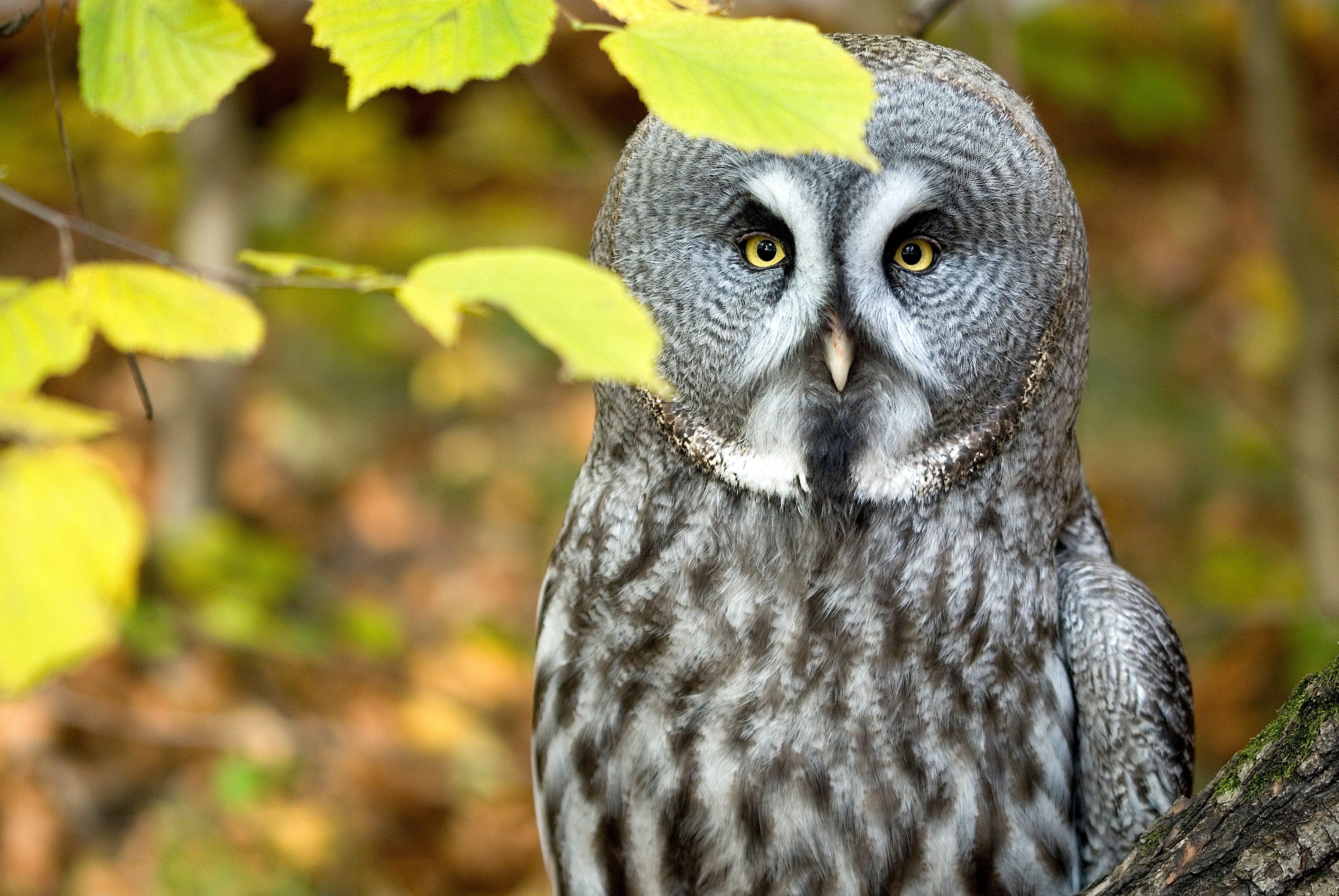 Ogród Zoologiczny w Krakowie