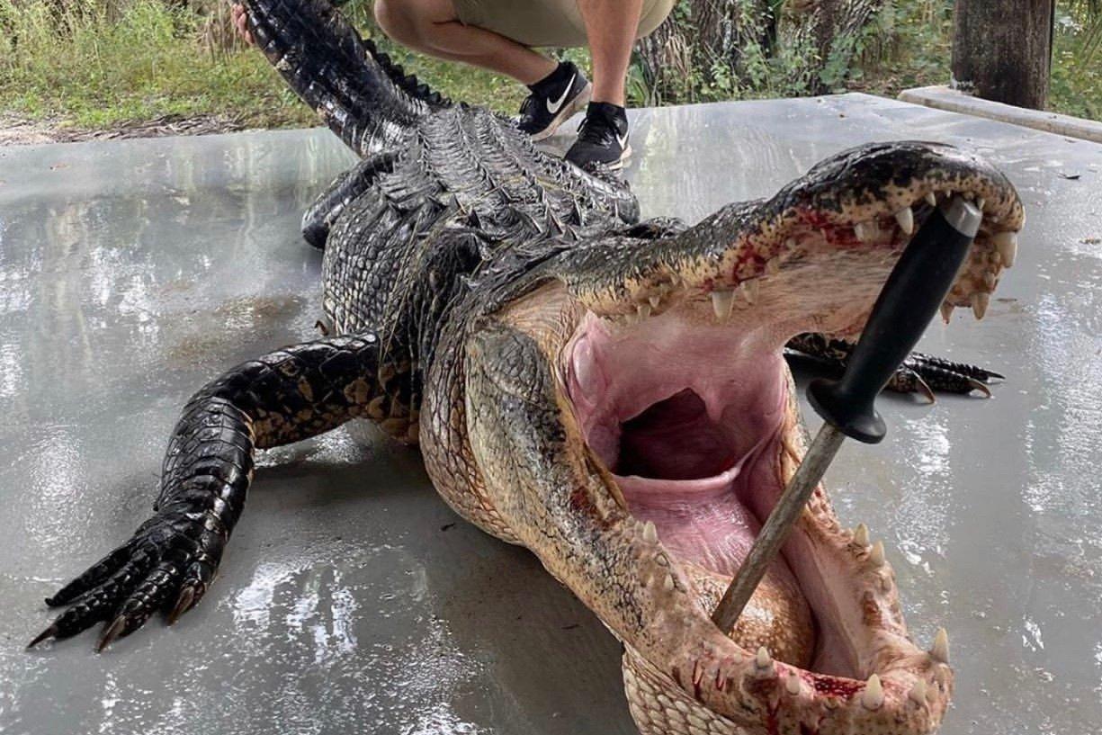 Clay Gully Outfitters