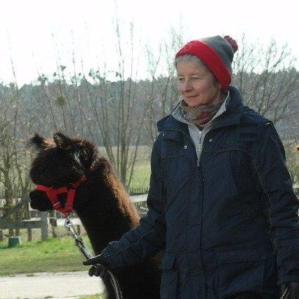 Buchholz Saloon (Alpaka Wanderungen im Berlin Umland)