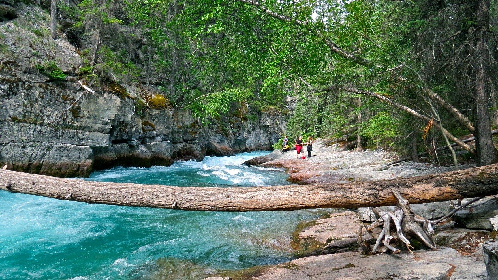 Walks & Talks Jasper