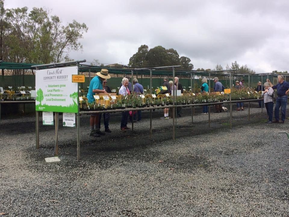Crows Nest Community Nursery - Native Specialists