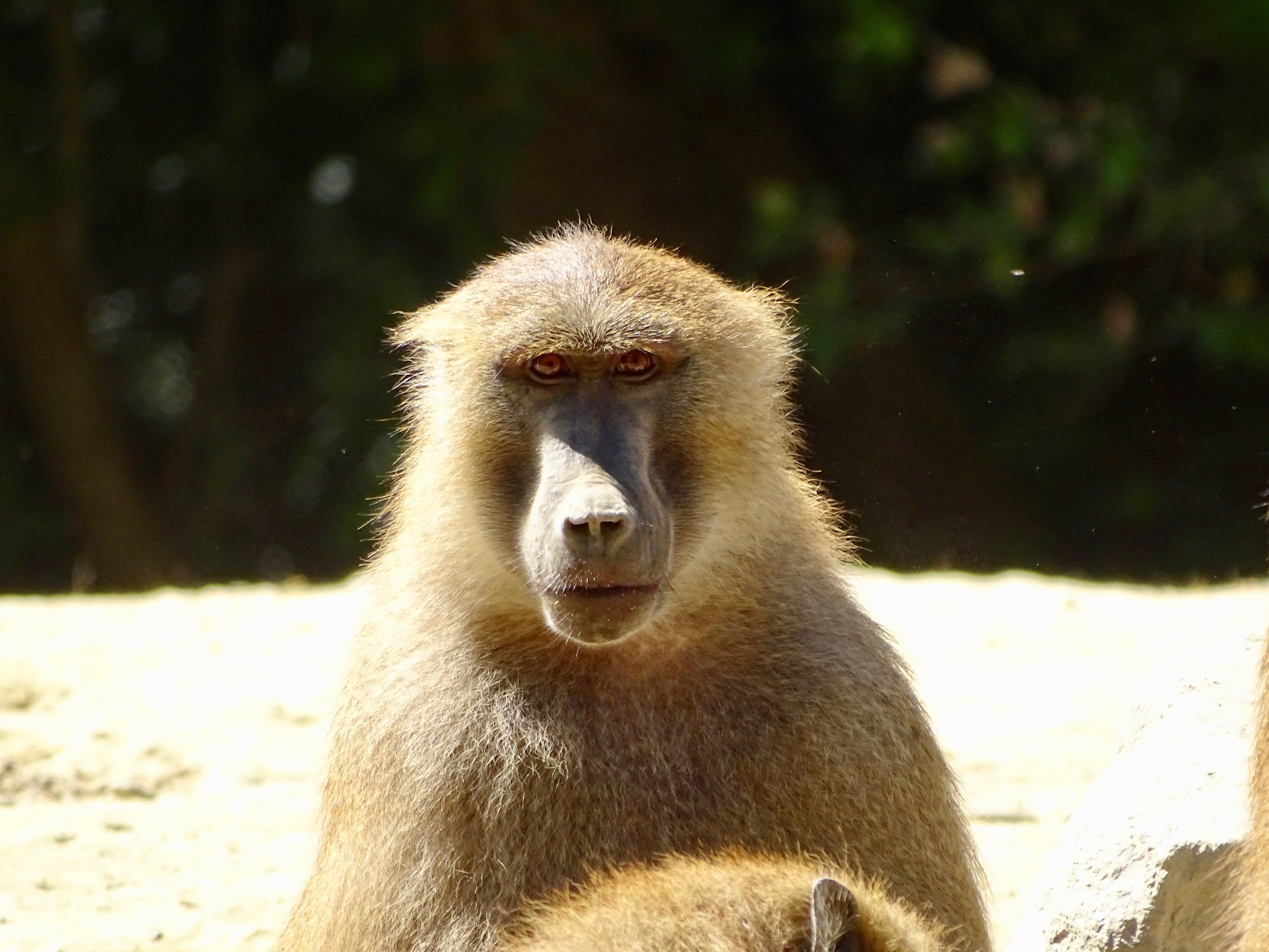 Le Refuge de l'Arche