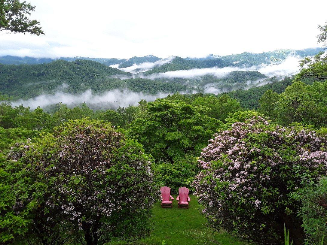 Photo by GrandTour207942