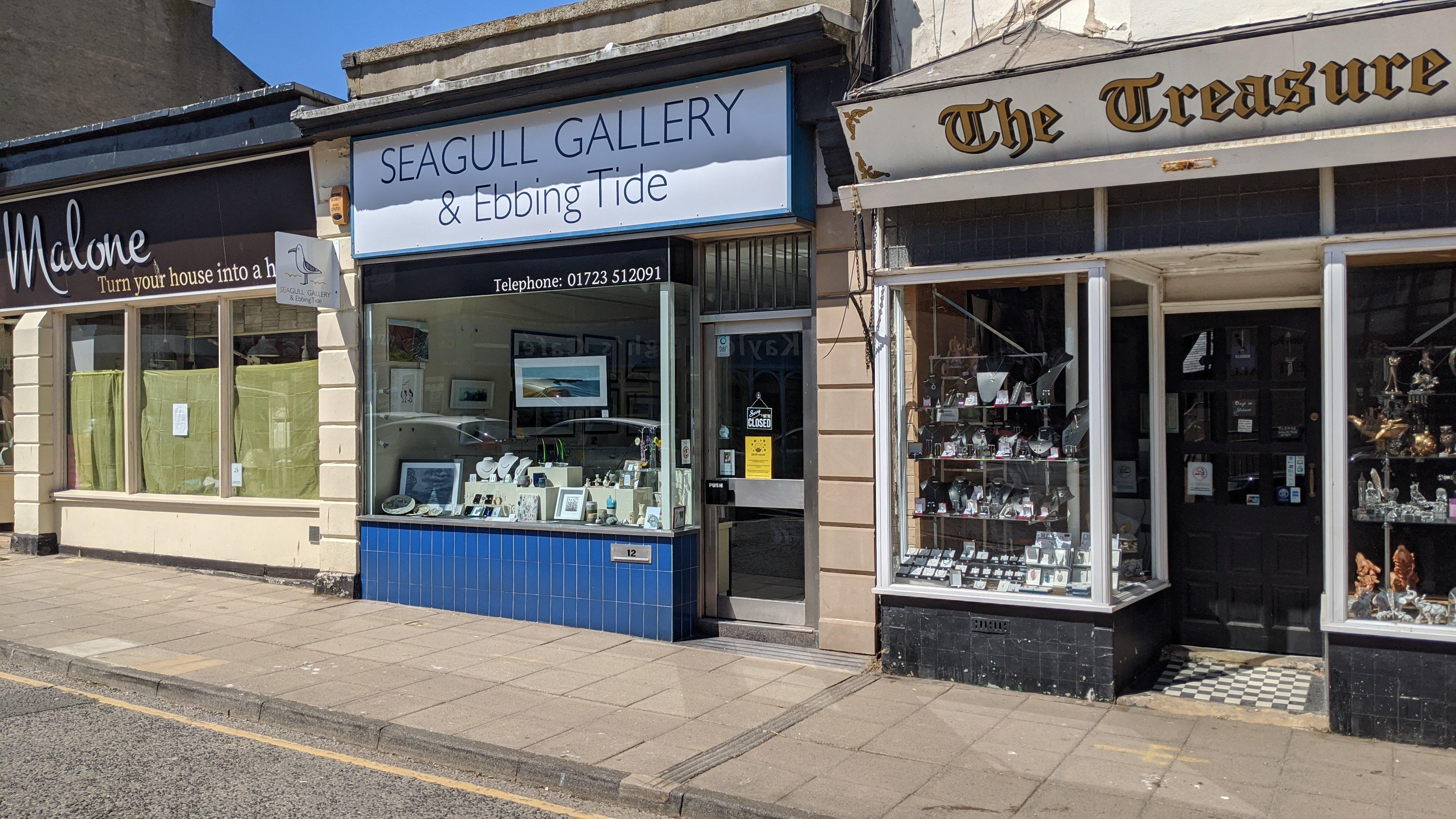 Seagull Gallery & Ebbing Tide