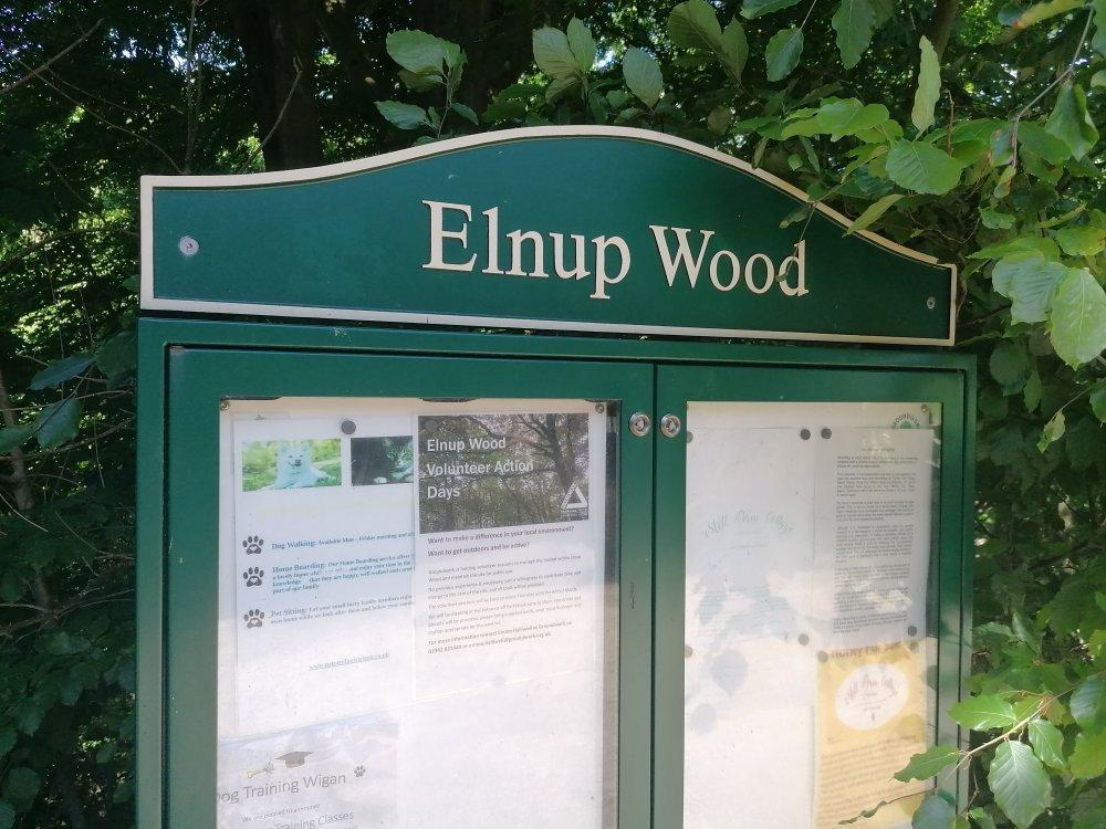 Elnup wood