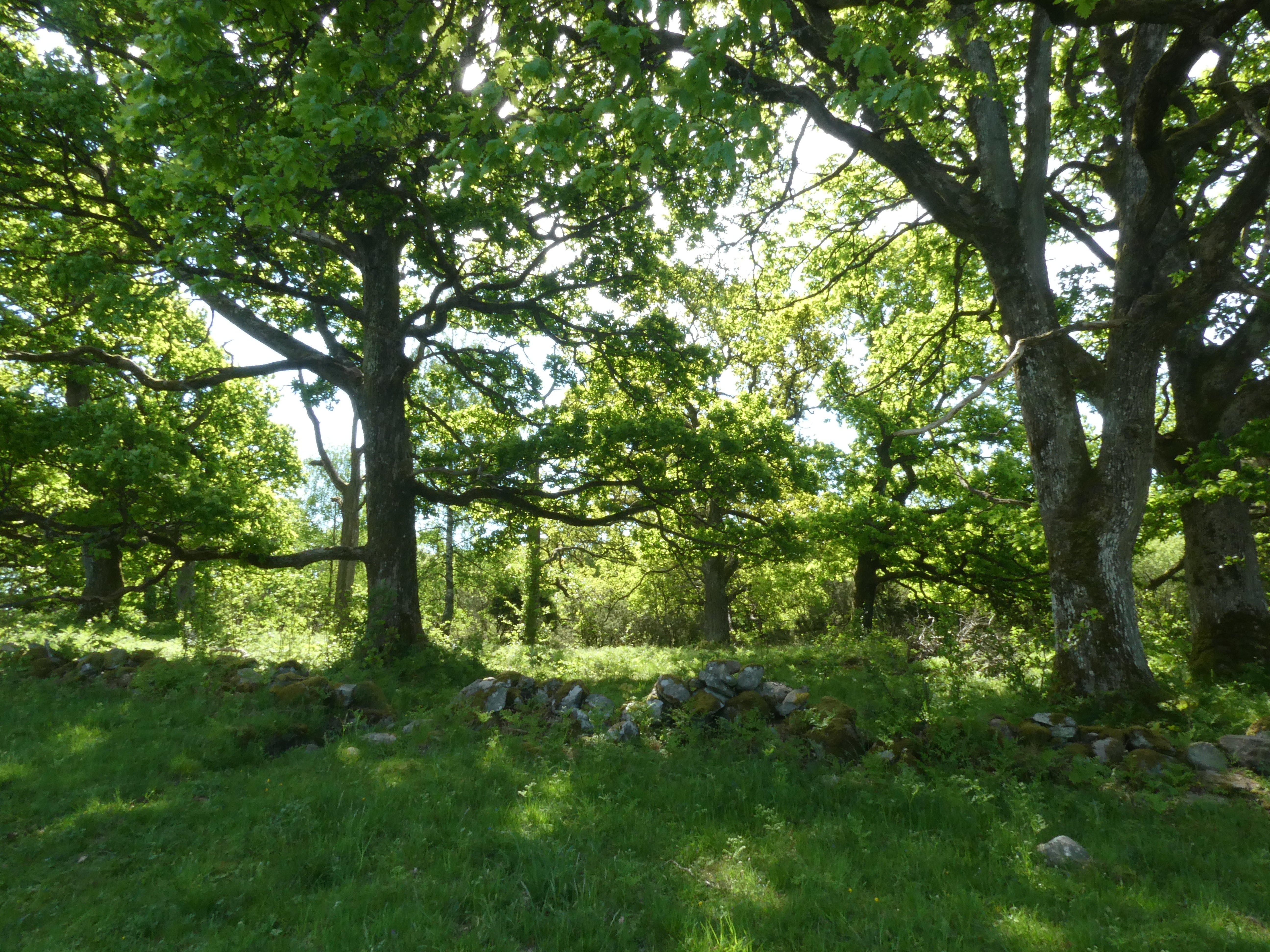 Hålta Naturreservat