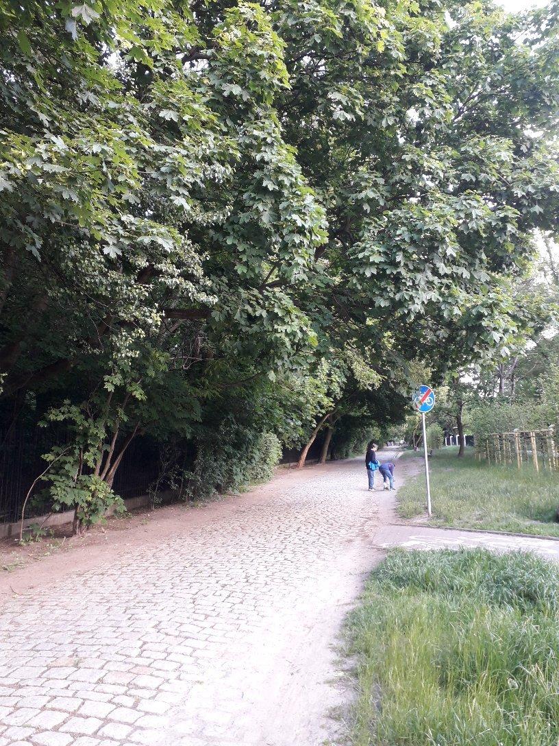 Zespół Pałacowo-Parkowy Natolin