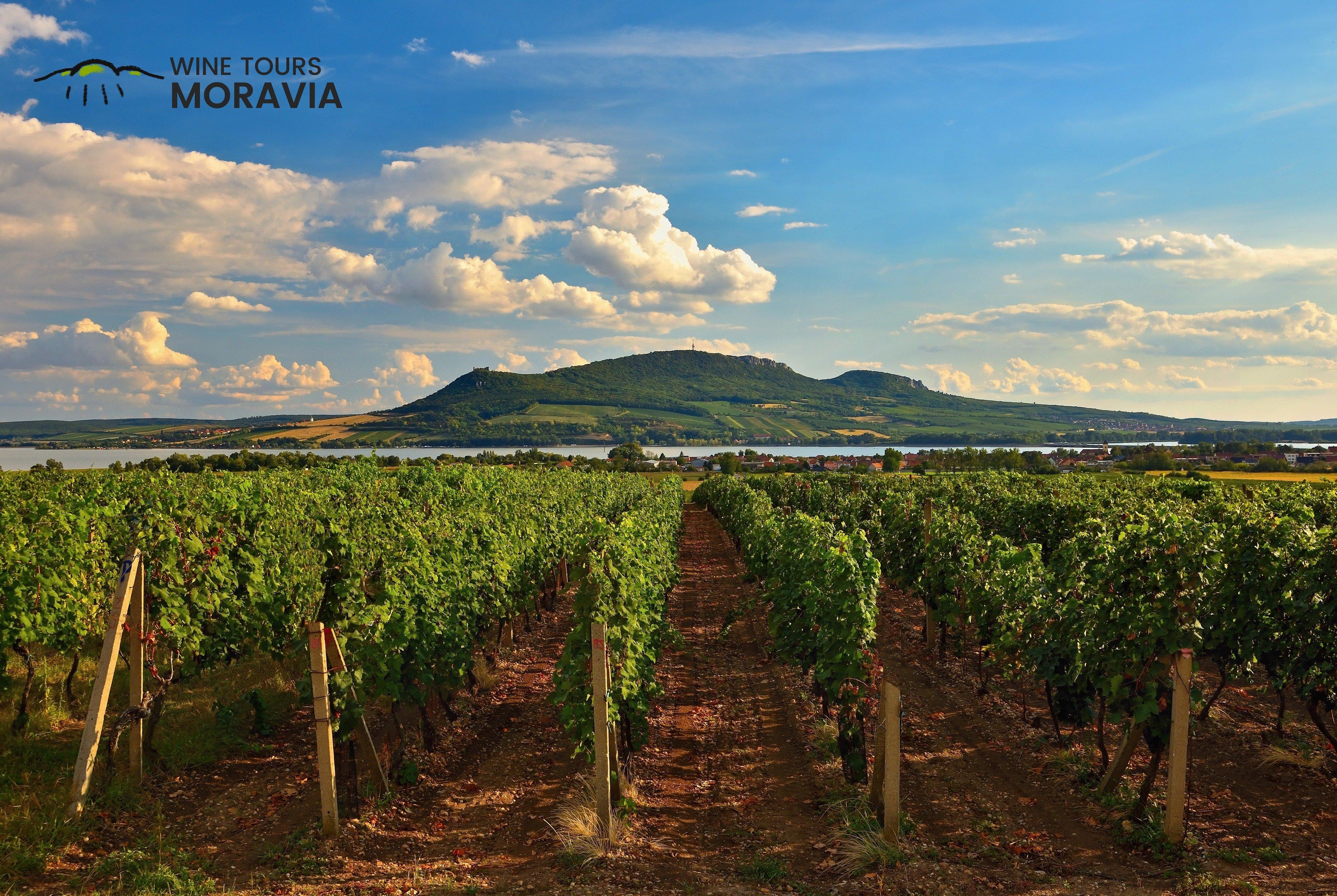 Wine Tours Moravia