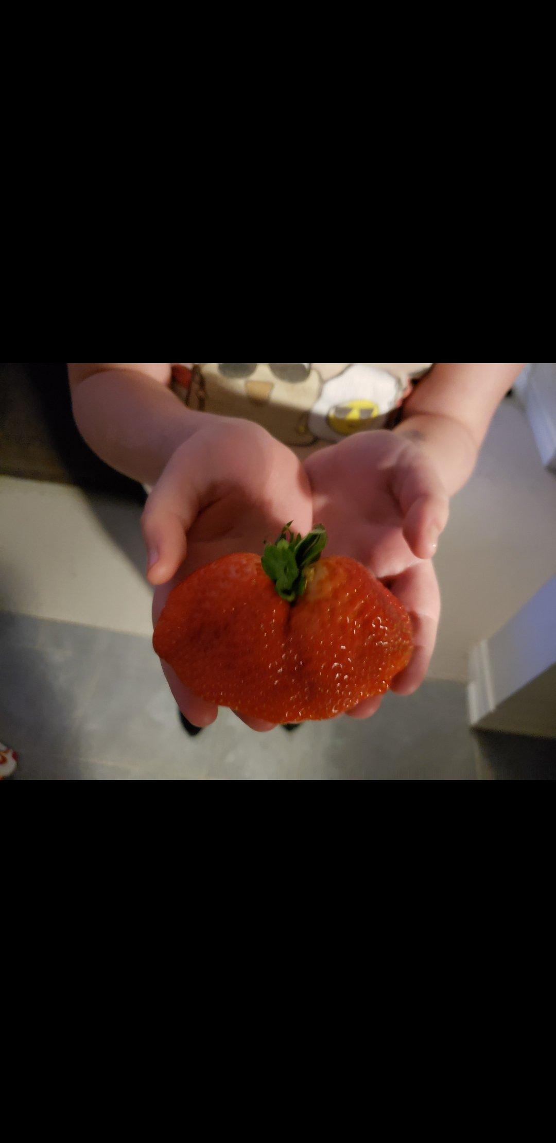 Tigchelaar Berry Farm