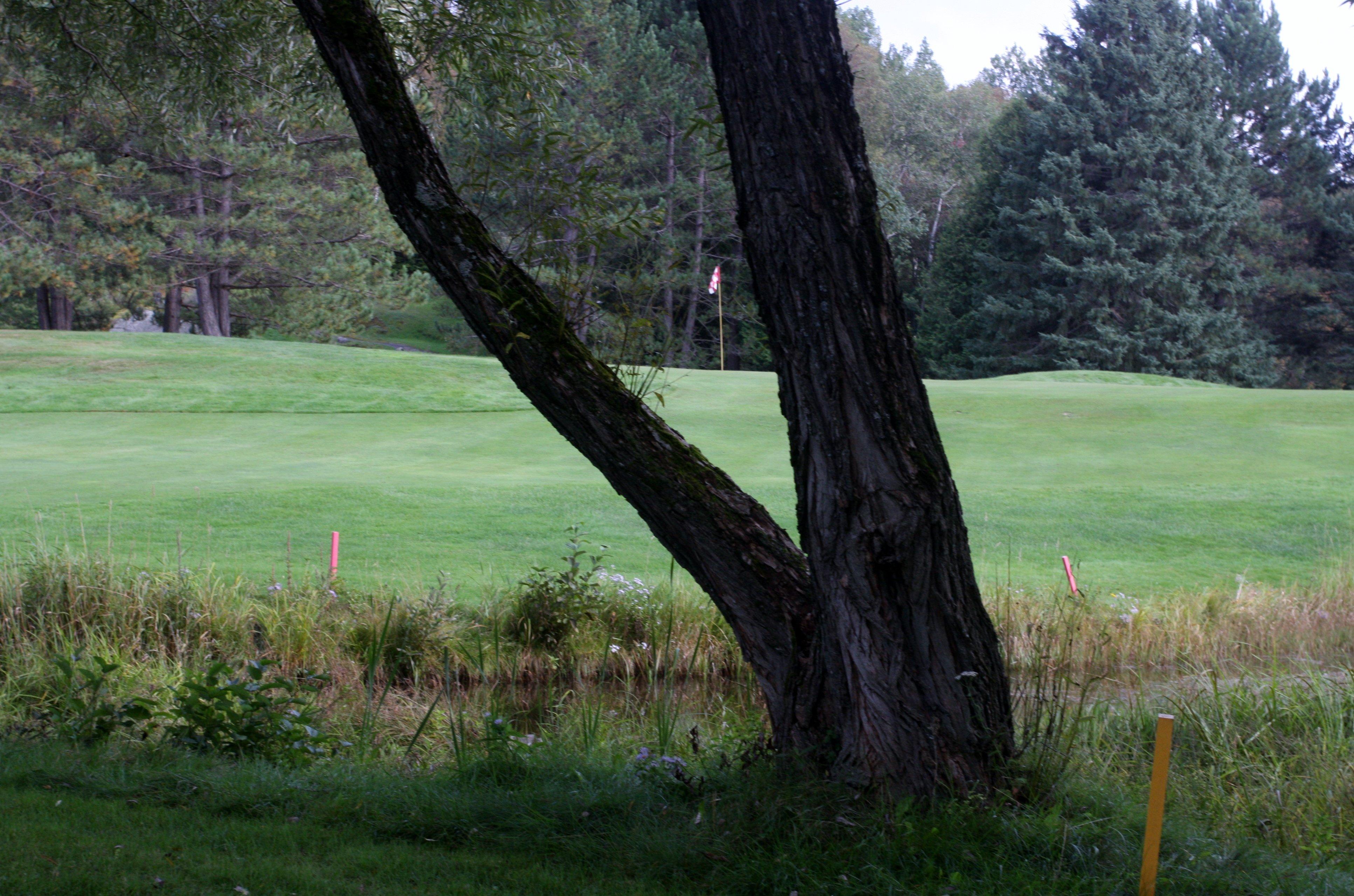 Club de Golf Les Ruisseaux