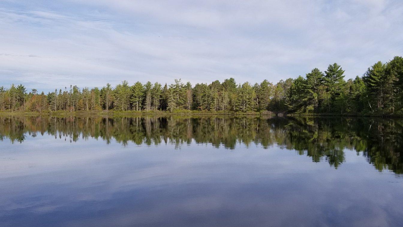 Photo by tripletimemate