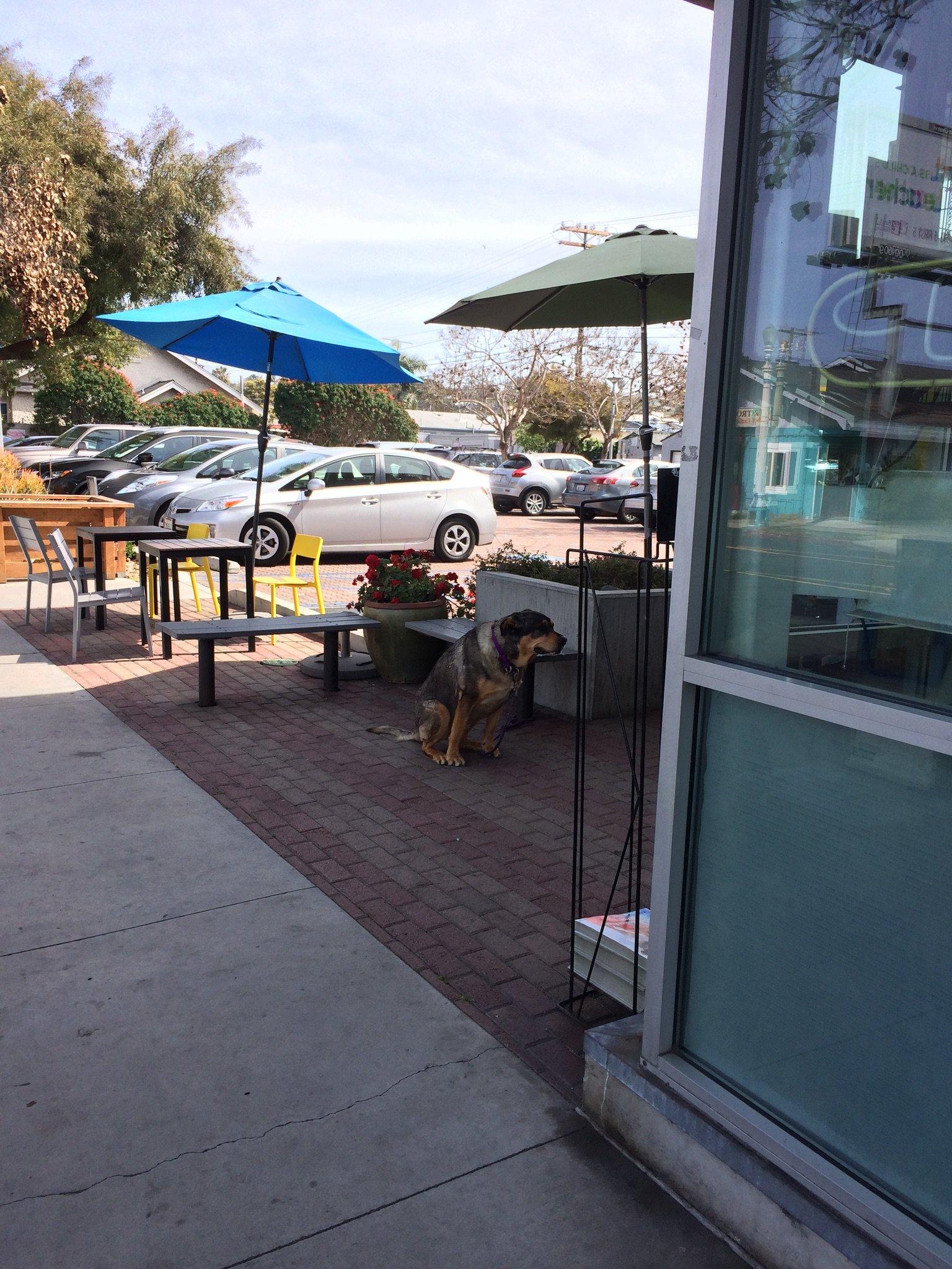 O. B. People's Organic Food Markert