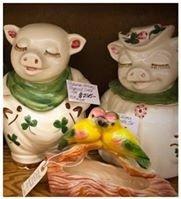 Photo by jenniferbH8756US