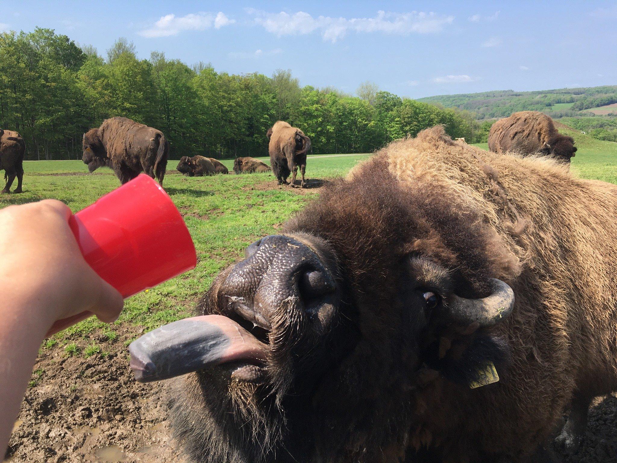 North Java, NY Map & Directions - MapQuest