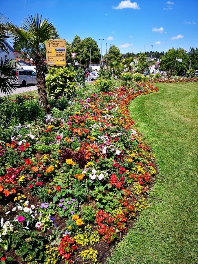 Photo by BirgitS1142