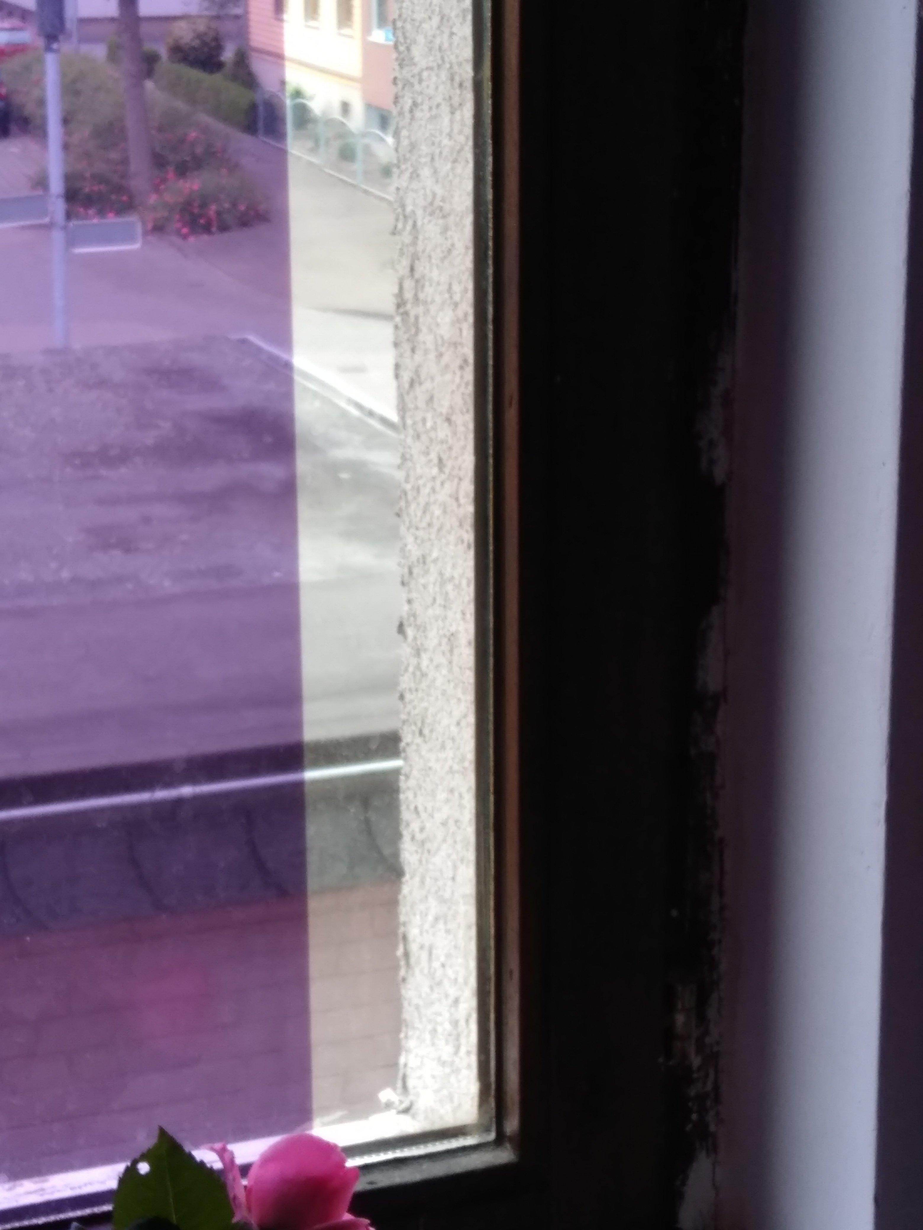 Ferienwohnung Drei Linden Kepler