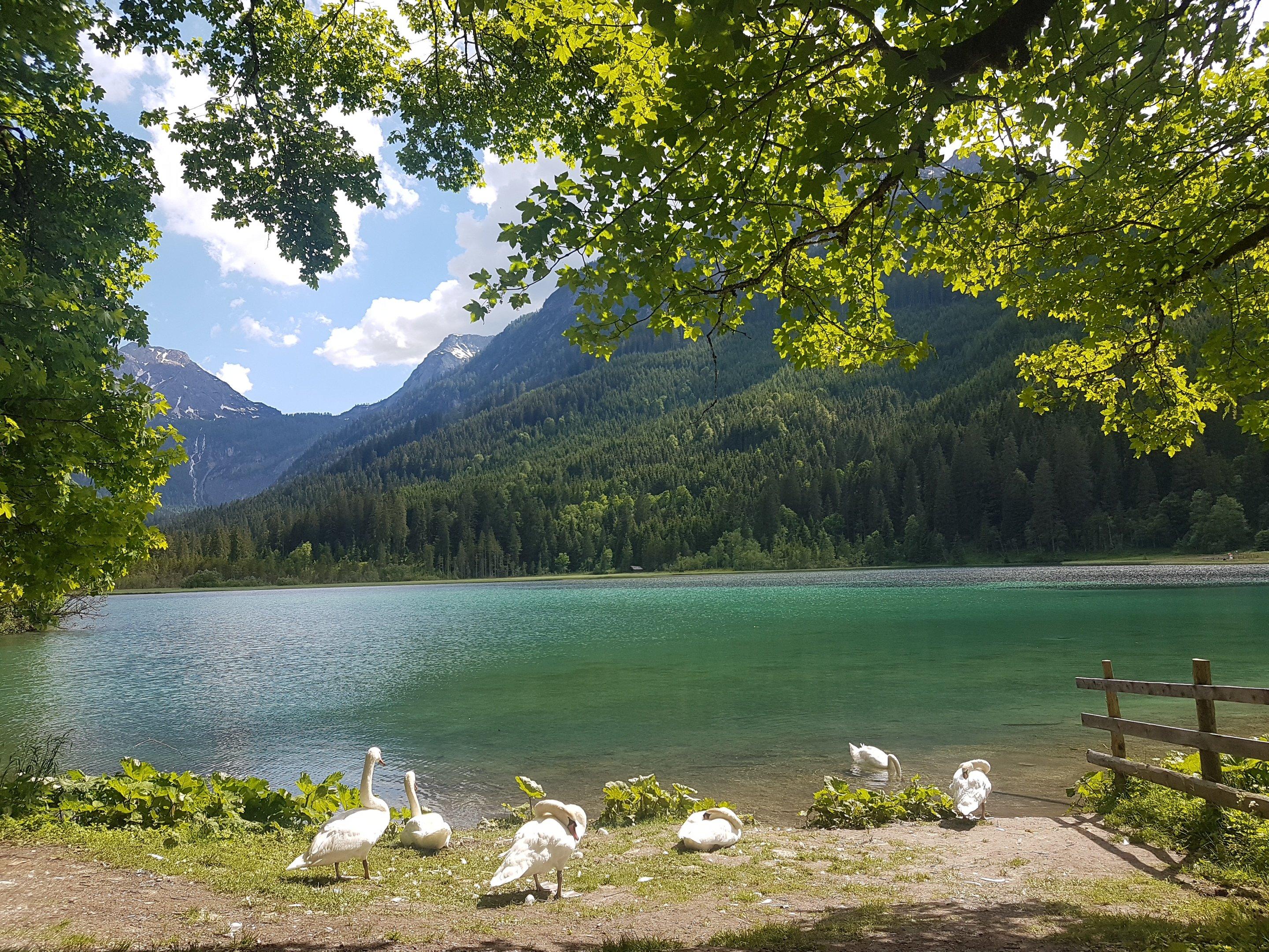 Photo by Familienurlaub11