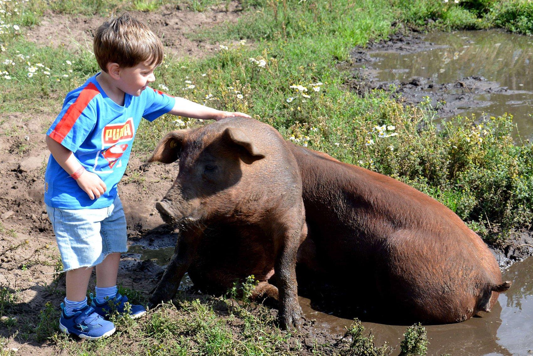 Nymarksminde Farmpark