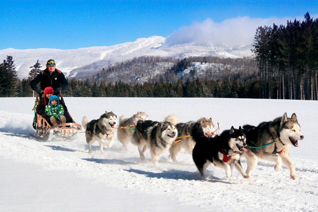 Tremblant Dogsledding