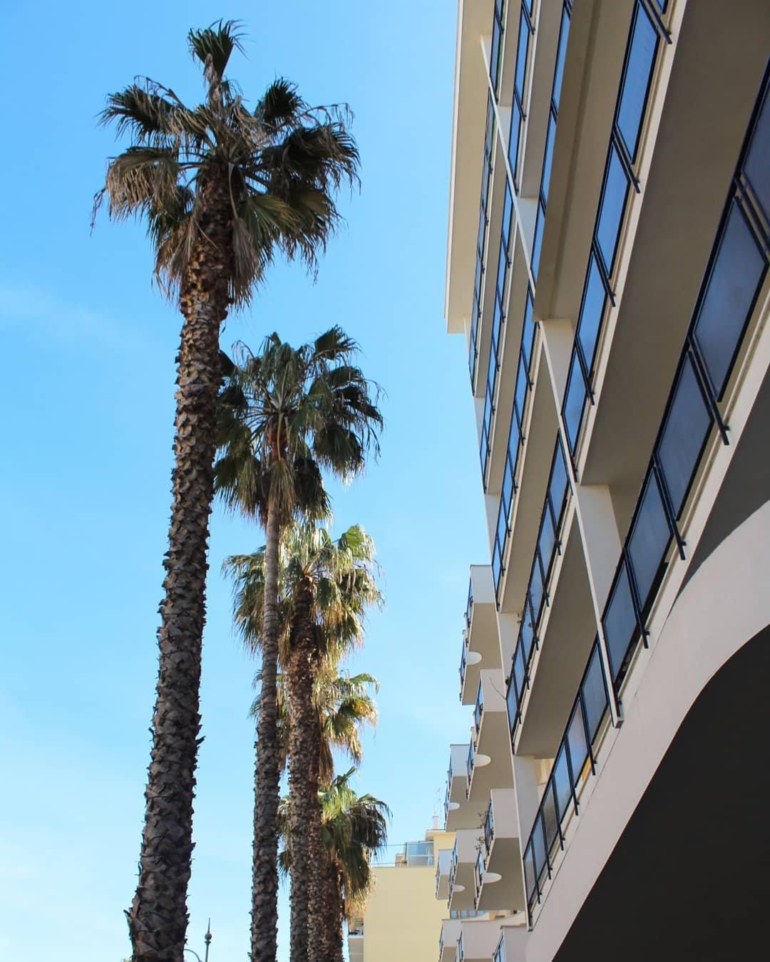 Photo by lepalmesorrento