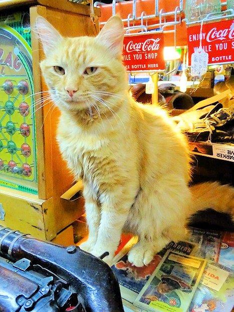 Chris and Friends Antiques and Uniques