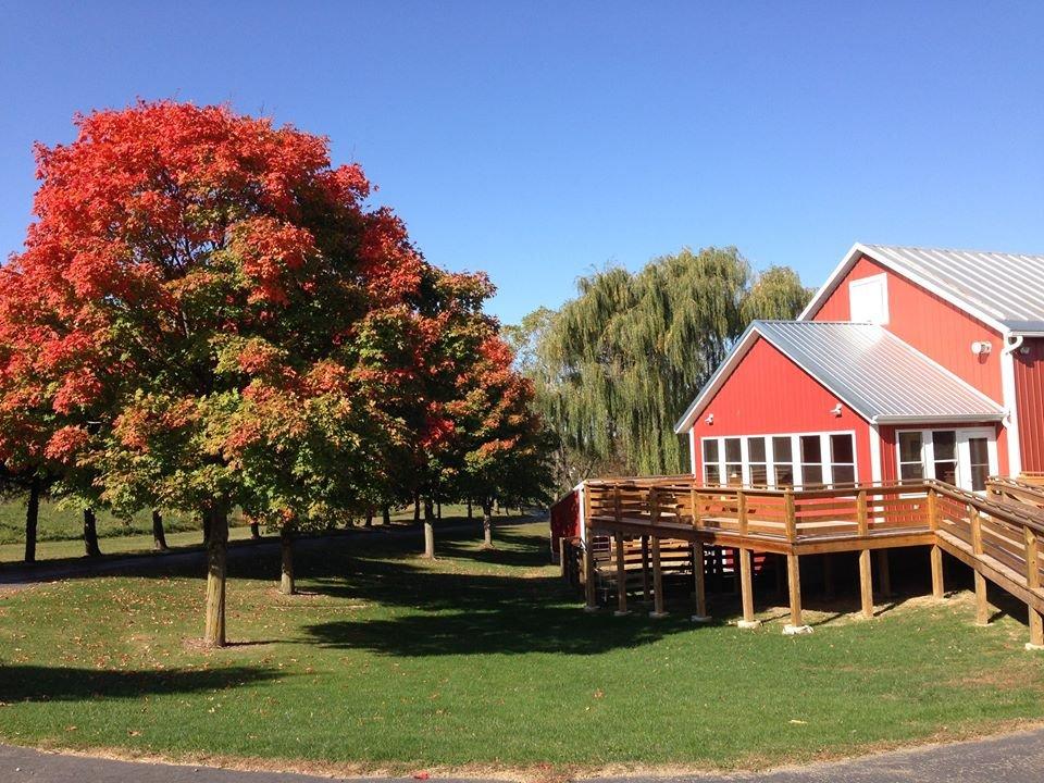 The Country Experience