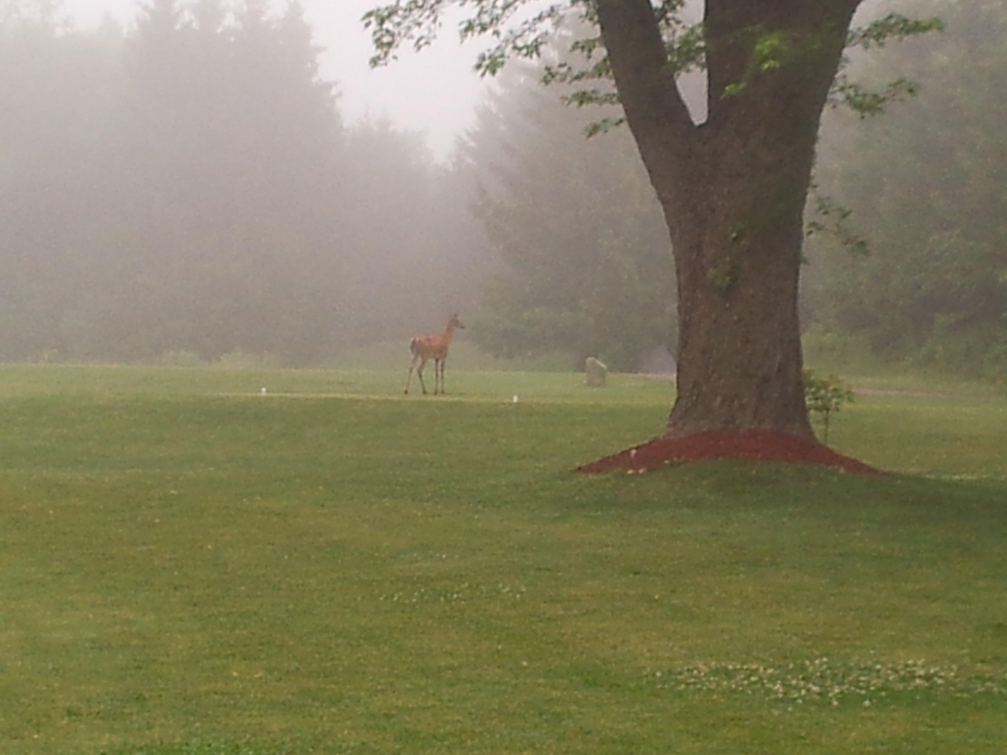 Sally Creek Golf Club