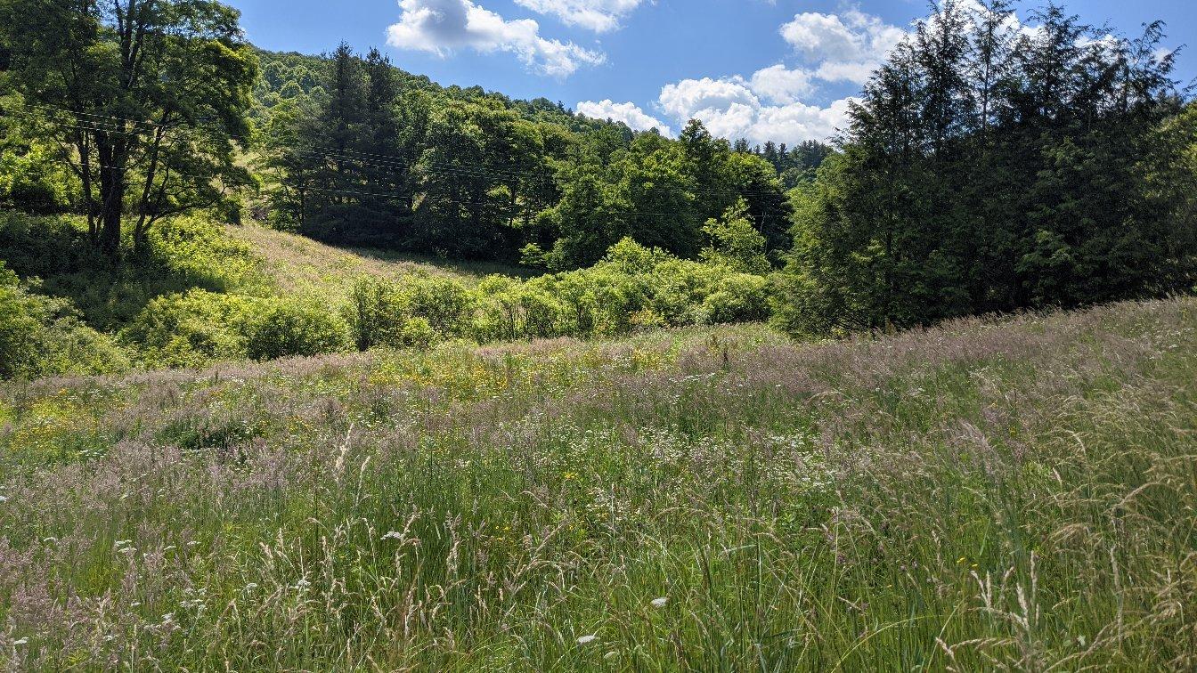 Photo by Harald32132