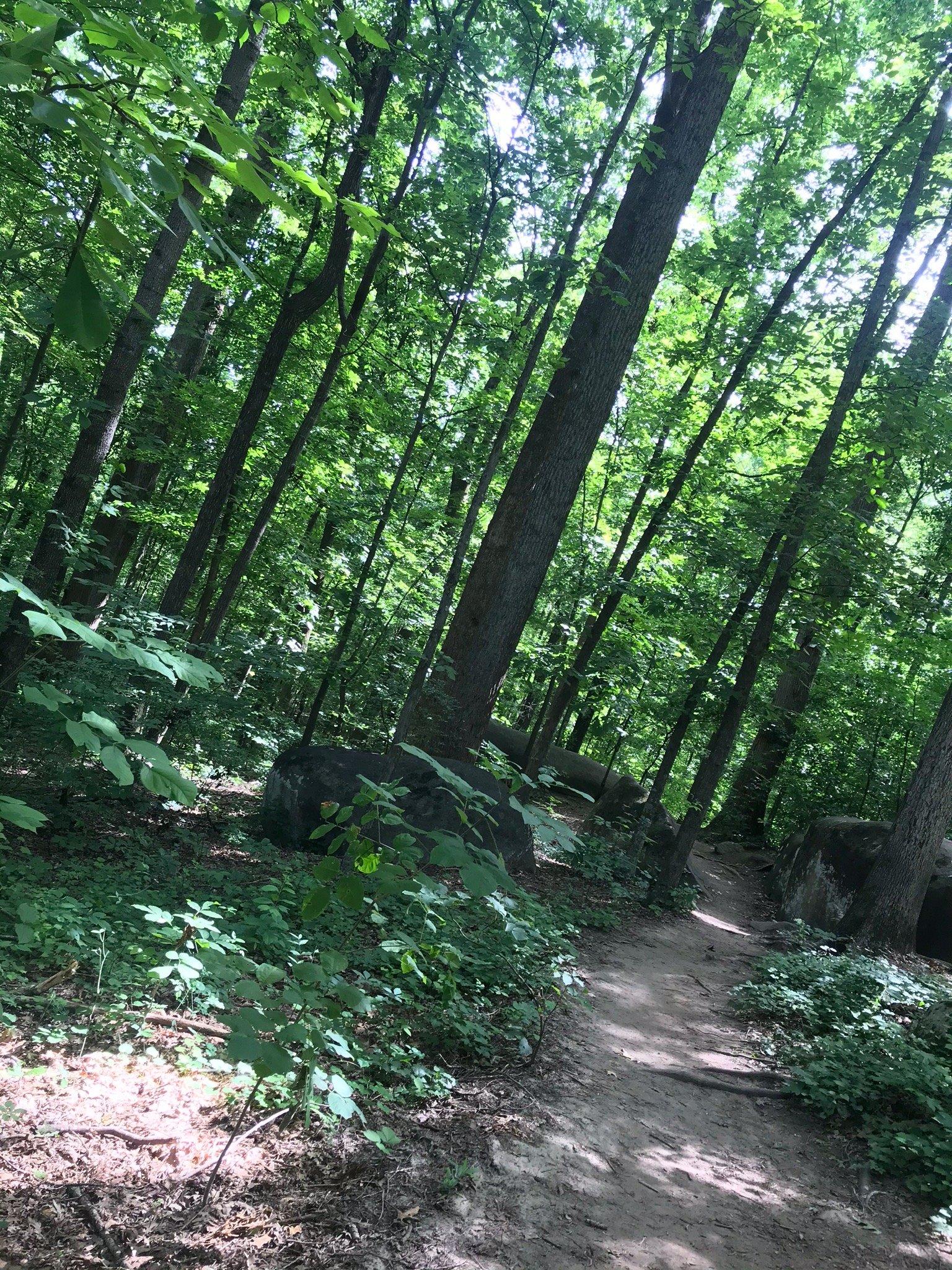 Big Rock Nature Preserve