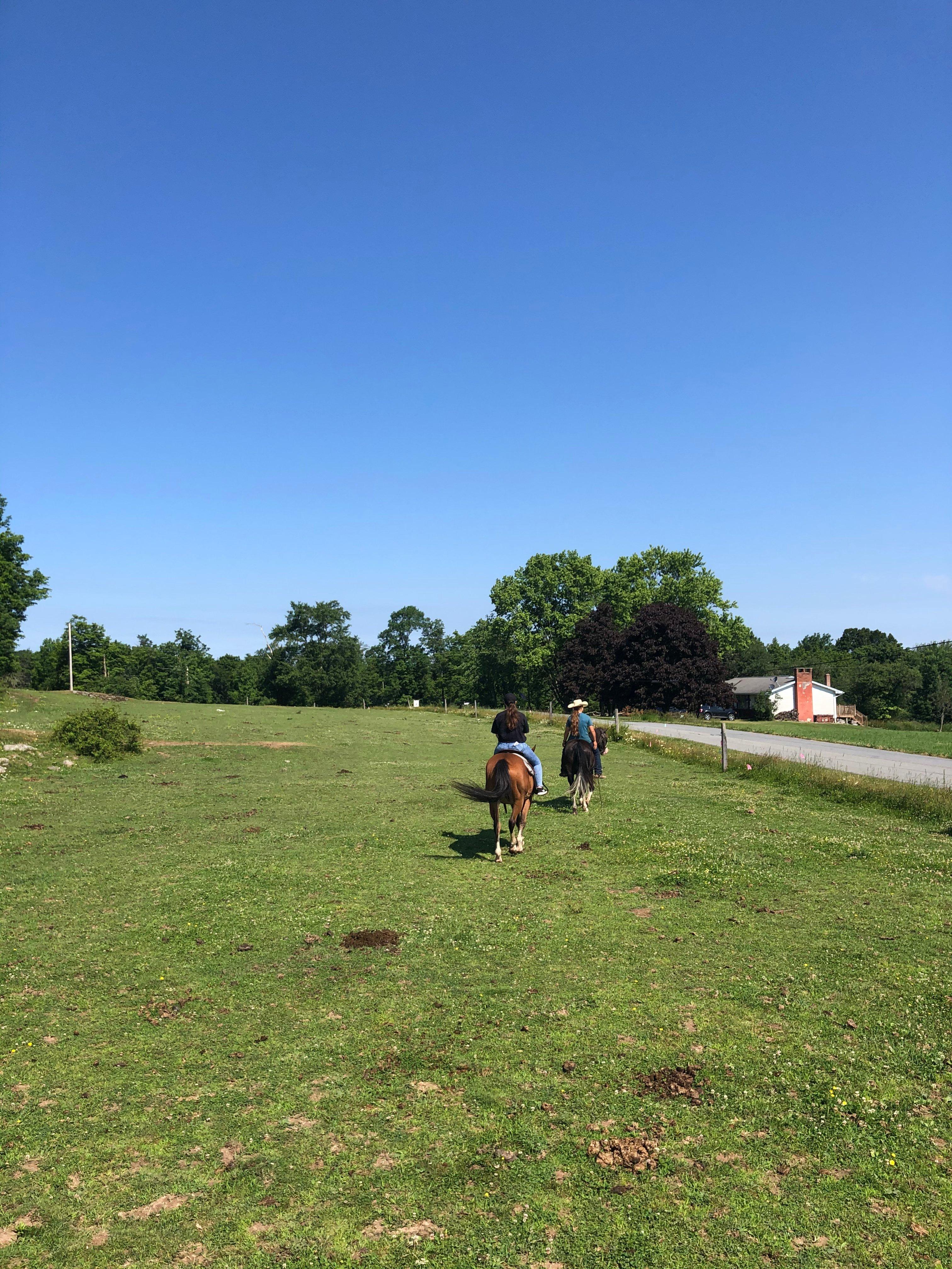 Why-Not Riding Stable