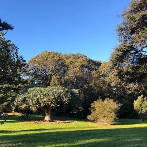 Koroit Botanical Gardens