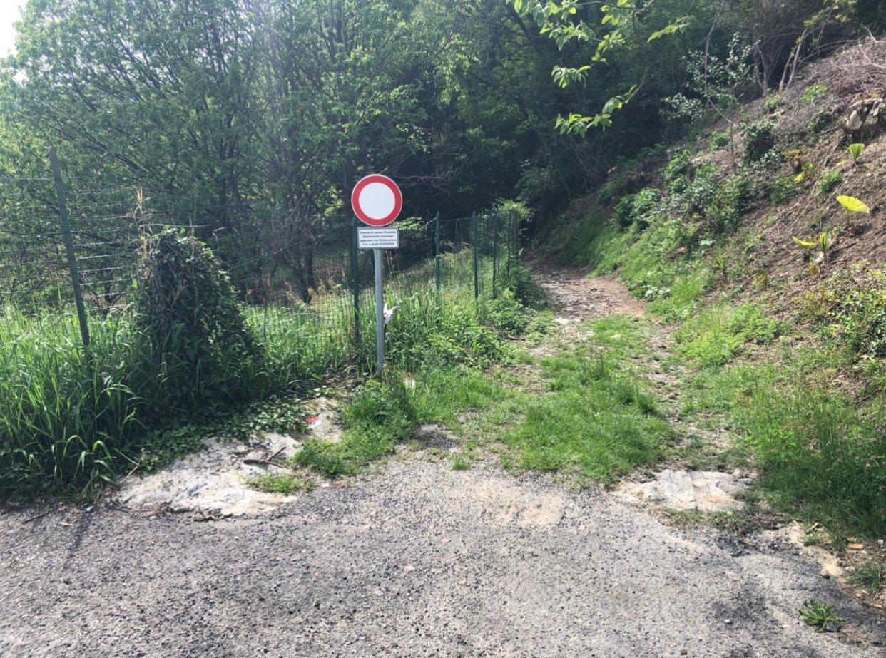 Strada Del Scinaccio