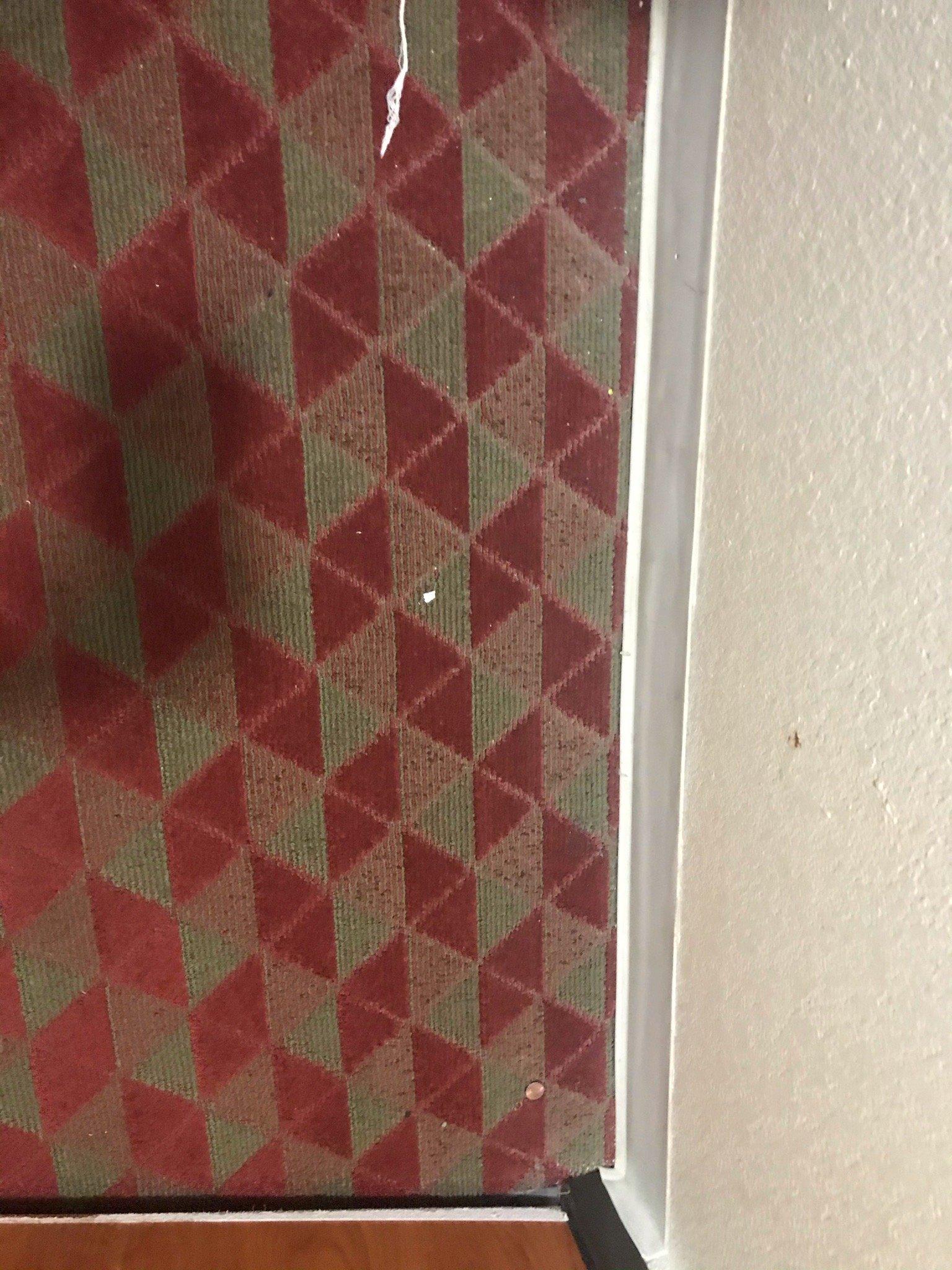 Photo by Leslie-n-Harvey