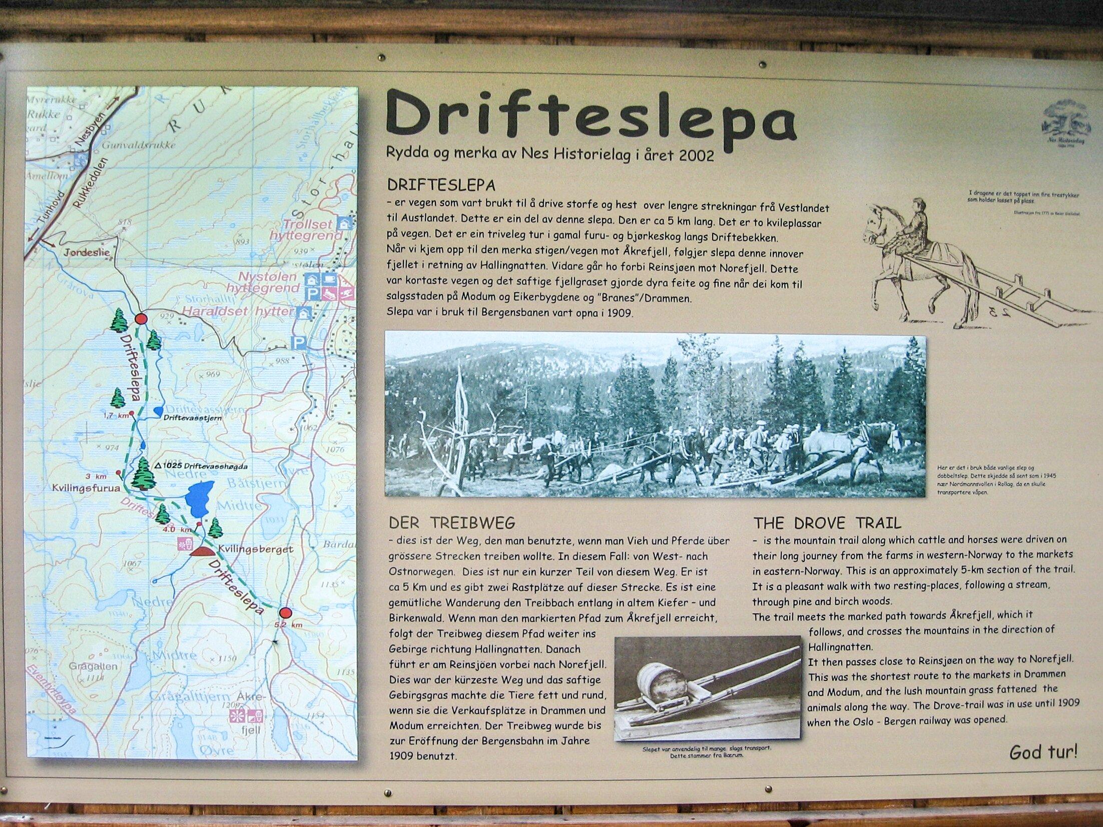 The Cattle Trail in Nesbyen