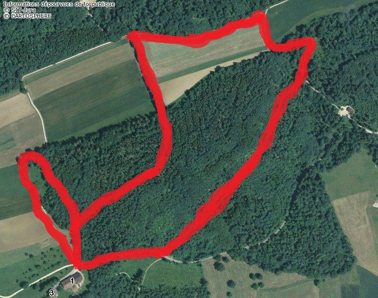 Le Sentier Forestier Olympique