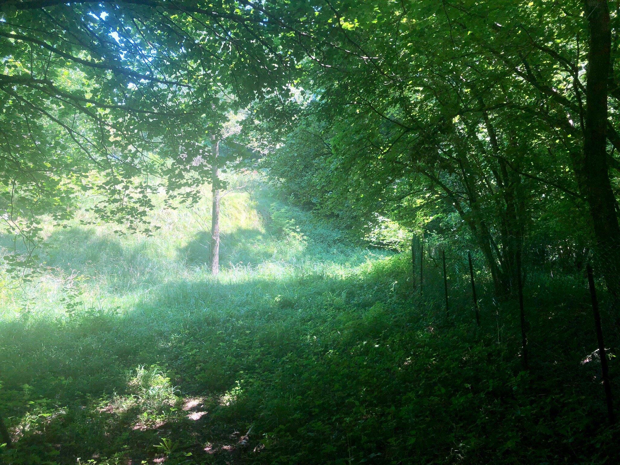 Sentiero Per Maliprada