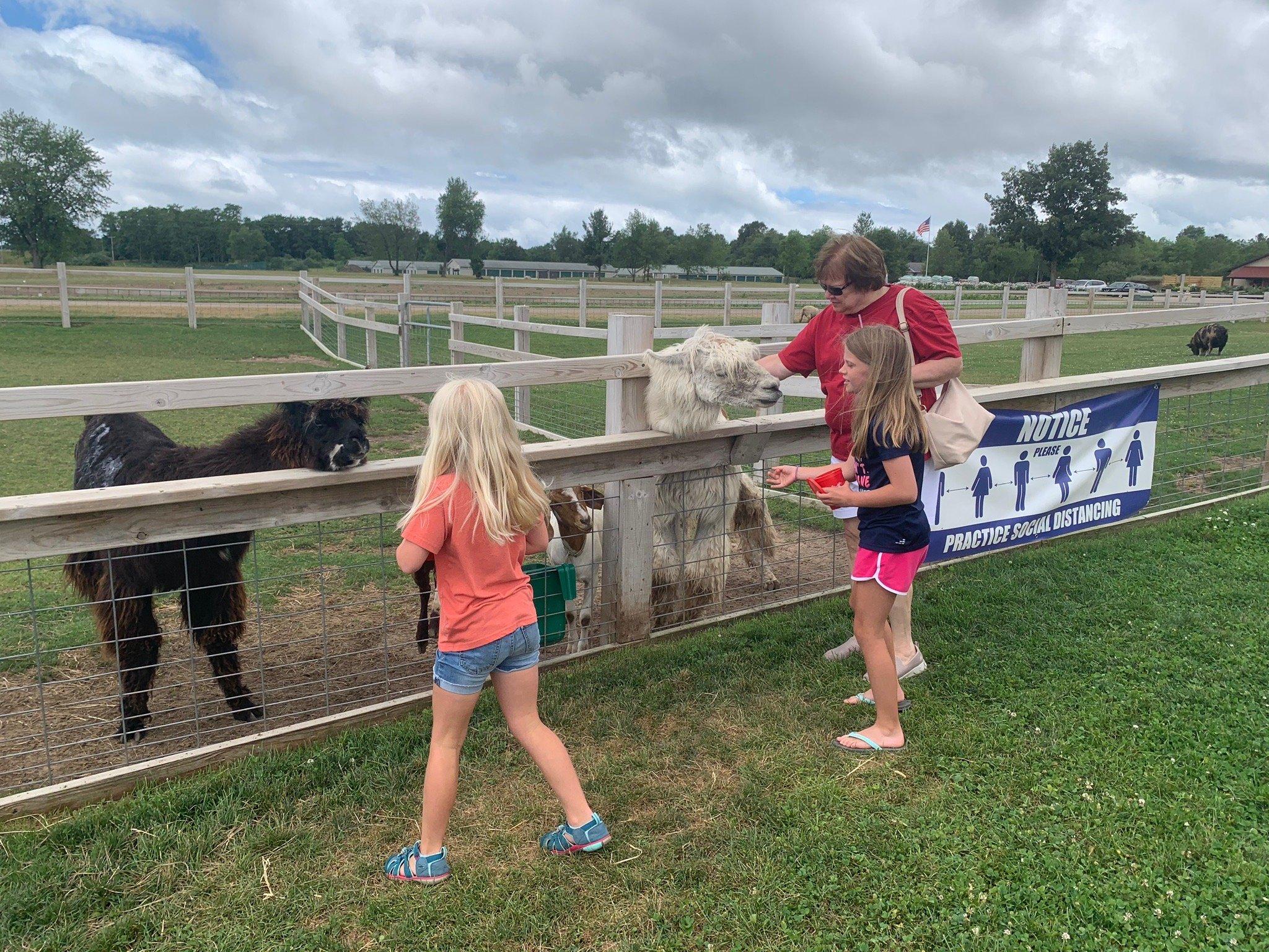 Up North Farm Market