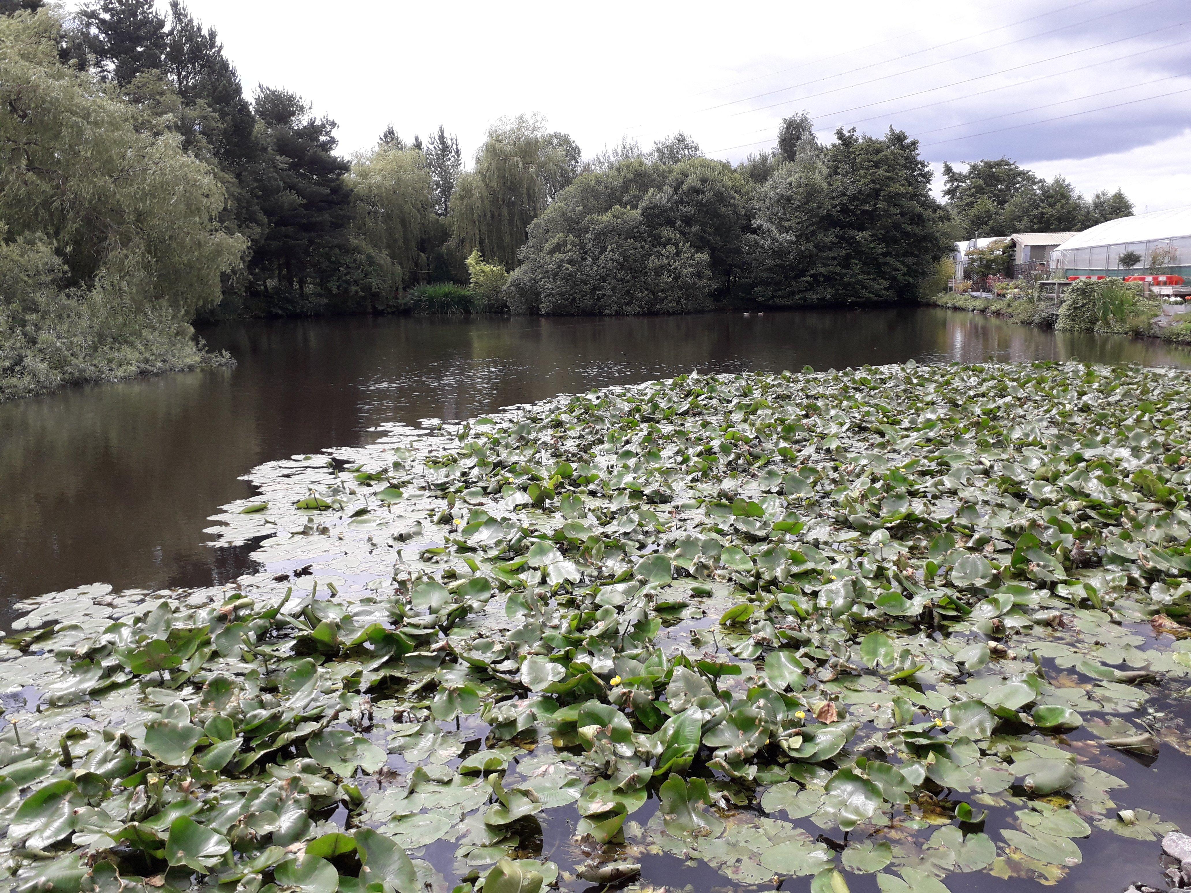 Photo by sportybirmingham