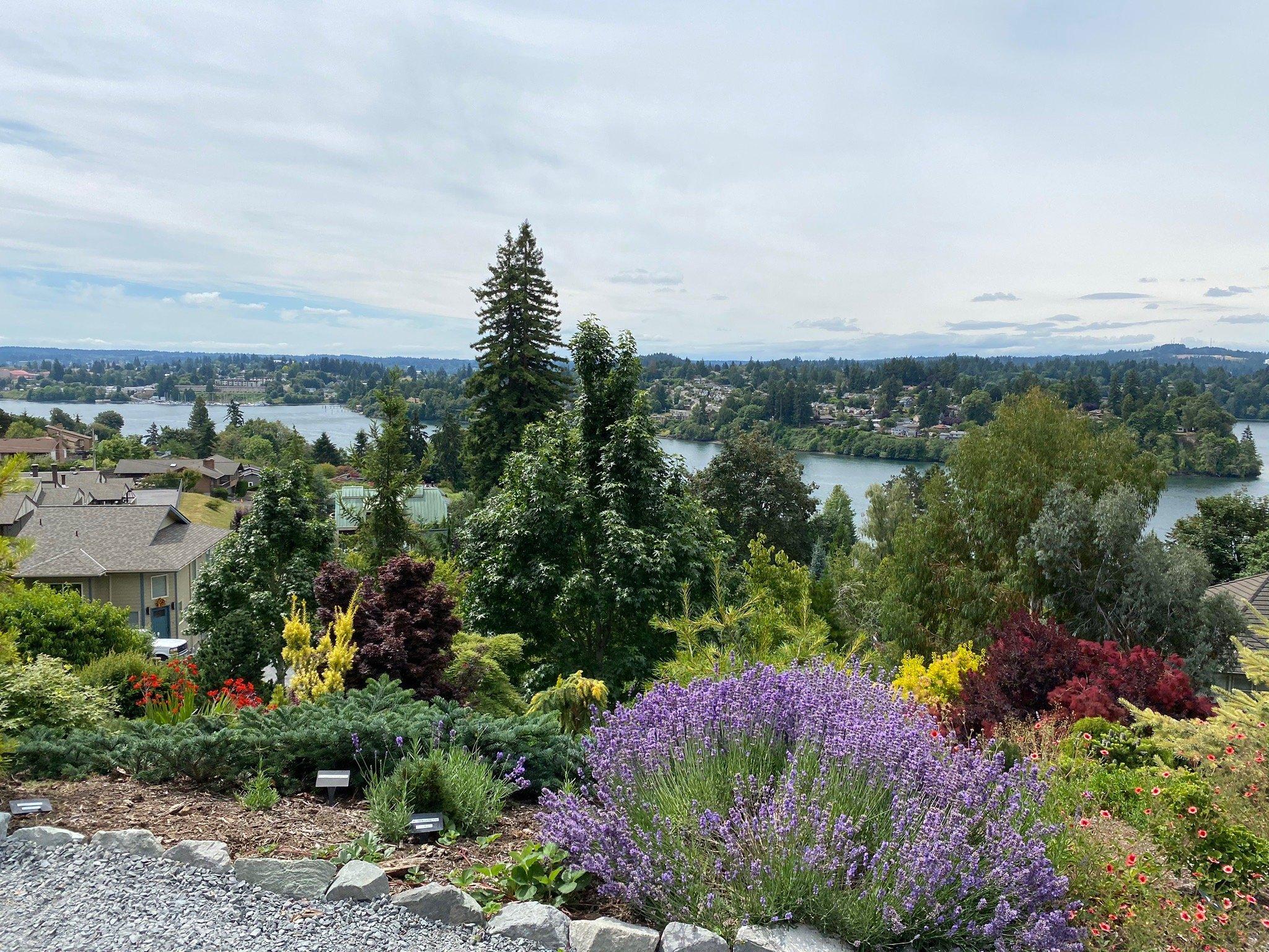 Albers Marcovina Vista Gardens