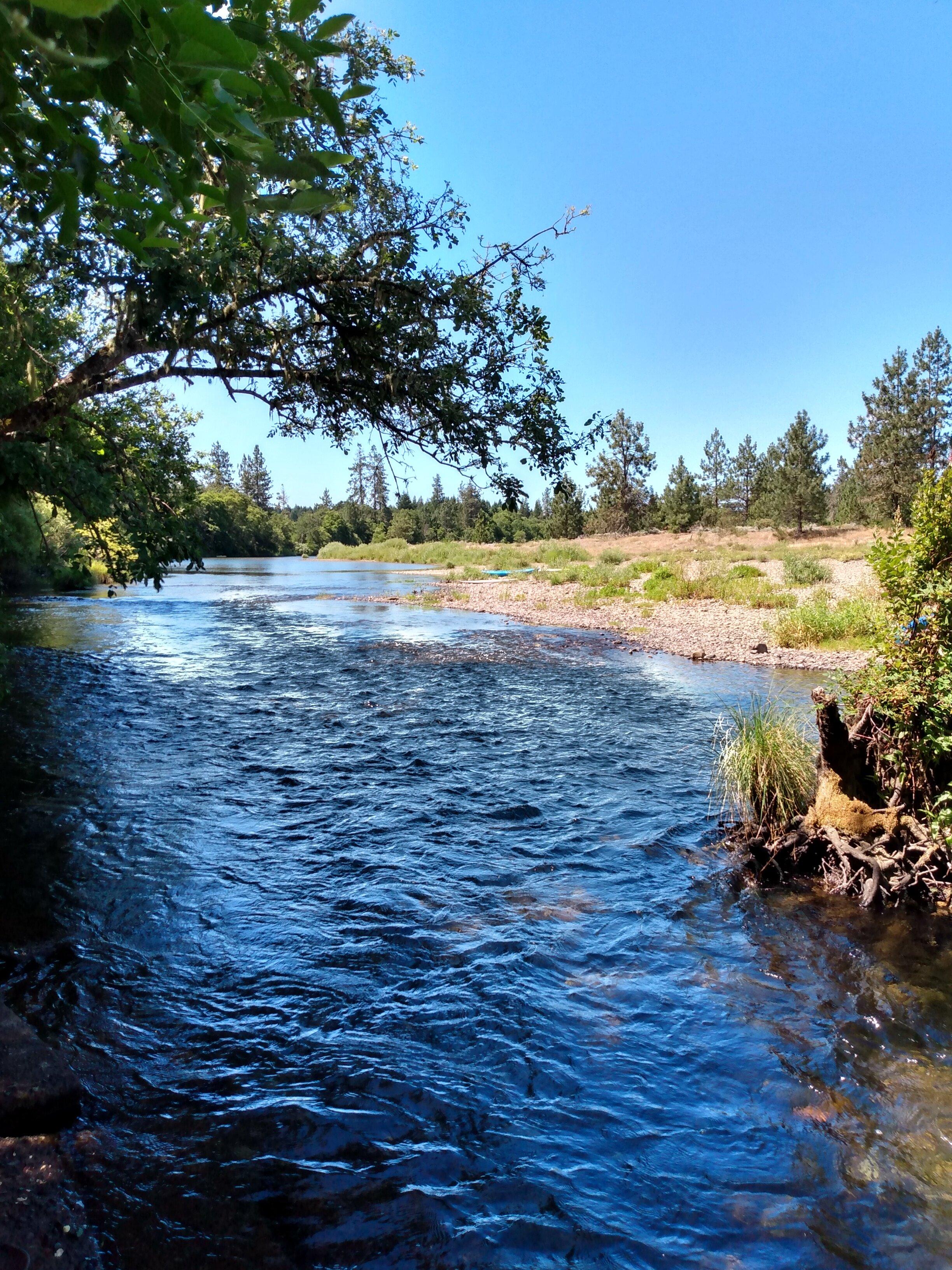 Photo by bratcherli61