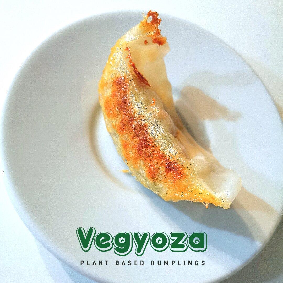 Vegyoza Manufacturer