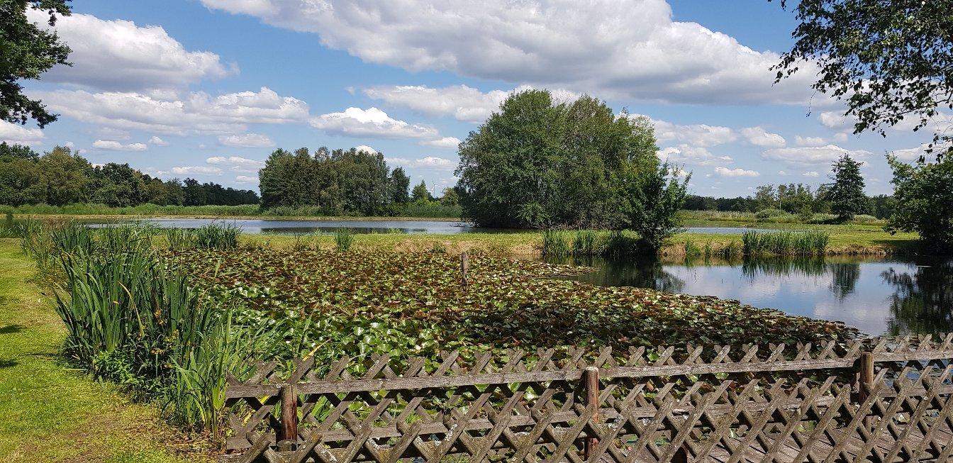 Familie Werner Nabein