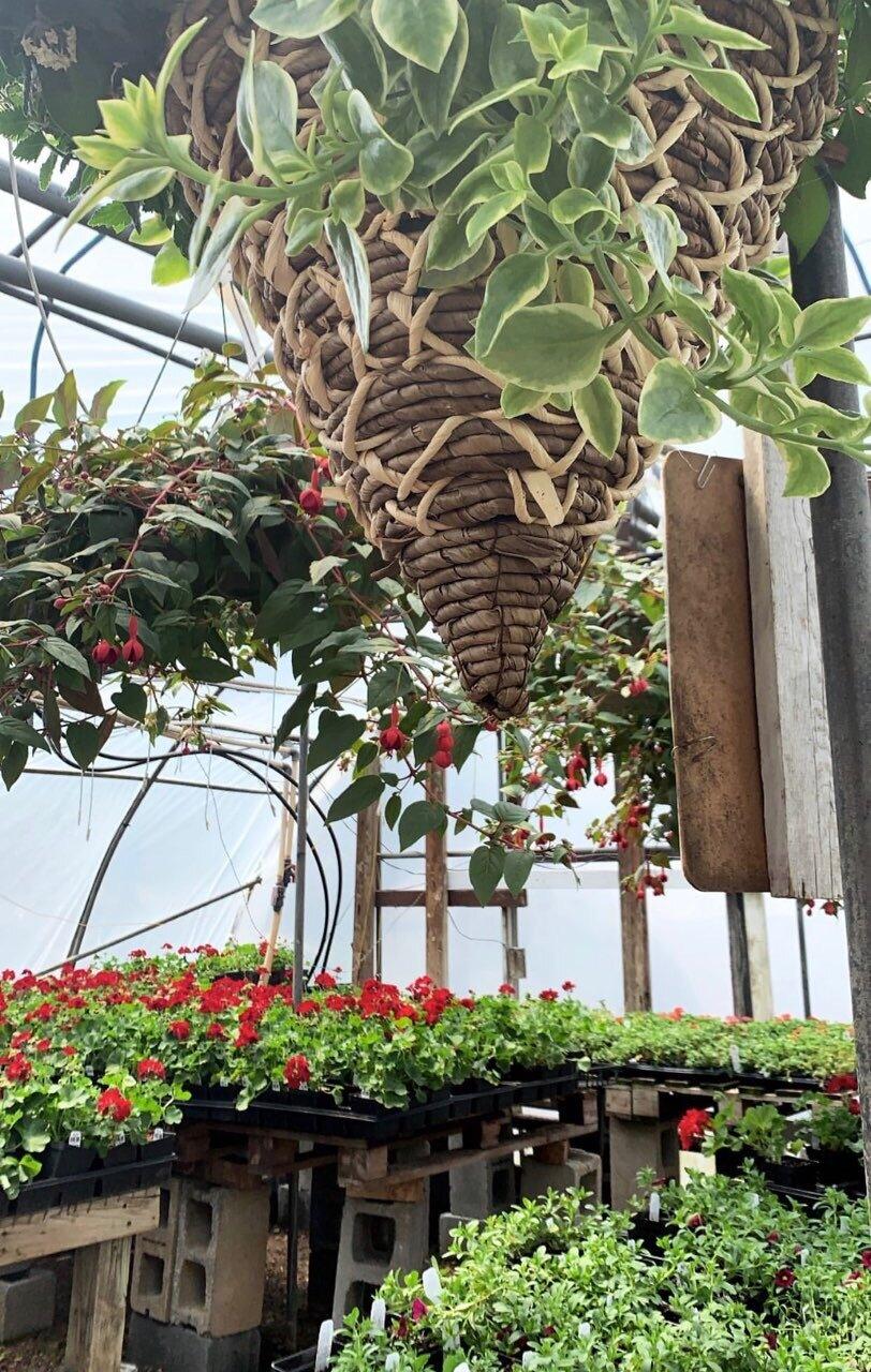 Glick's Greenhouse