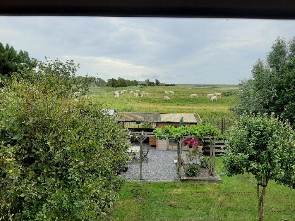 Bed & Breakfast De Rietgors