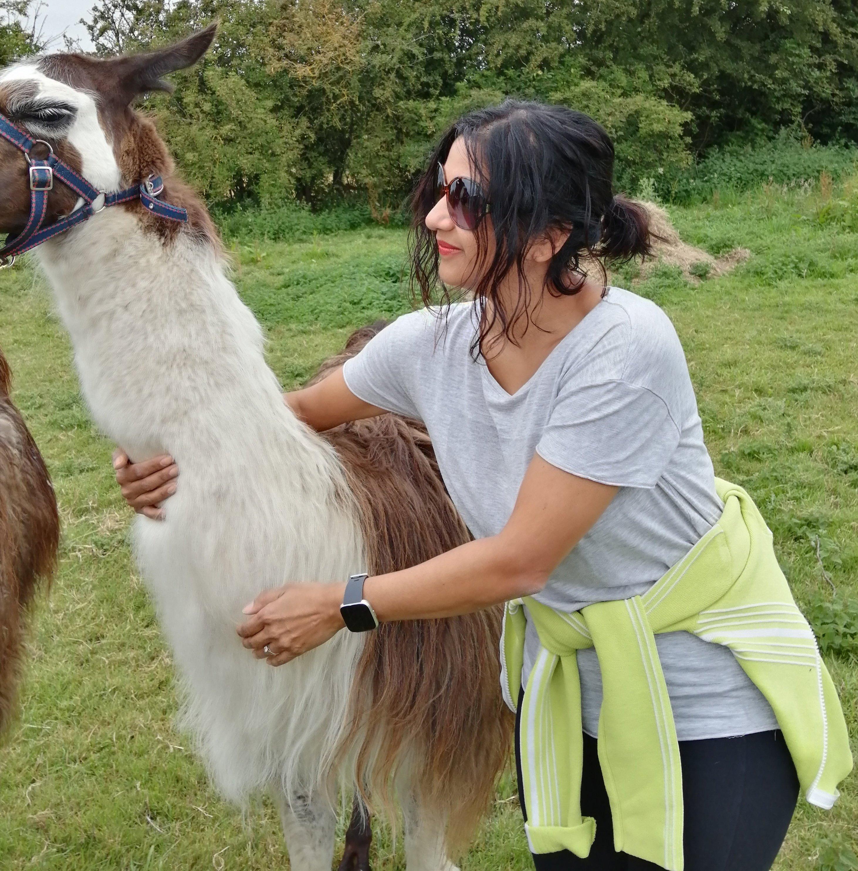 Louth Llama Trekking