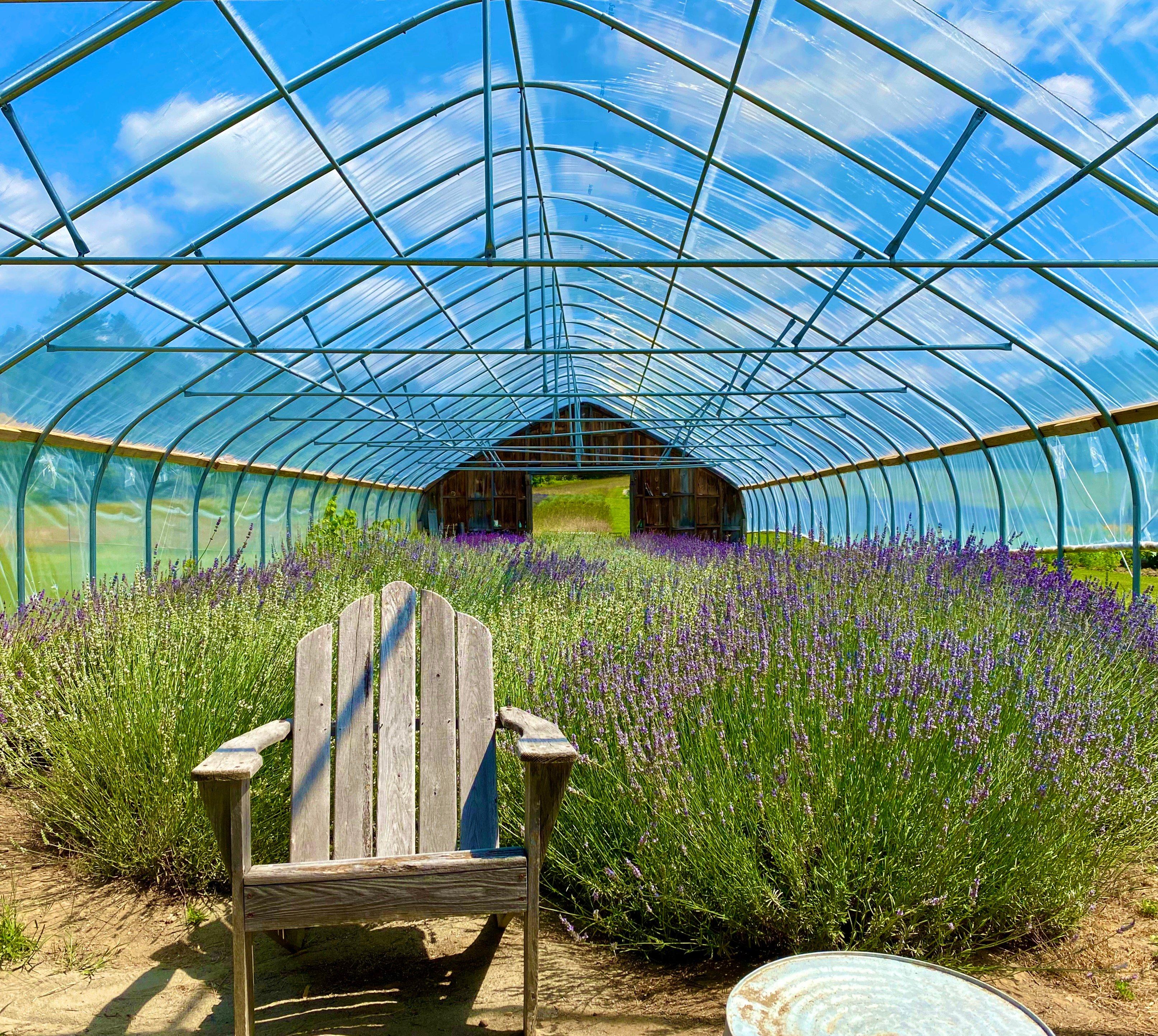 Photo by NHWanderlust